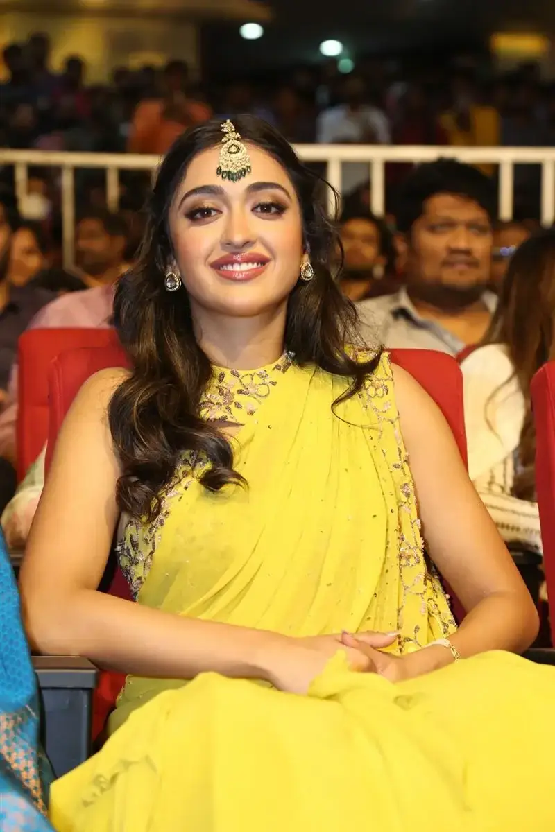 Actress Gayatri Bhardwaj Yellow Saree Tiger Nageswara Rao Movie